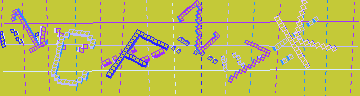 確認代碼