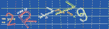 確認代碼