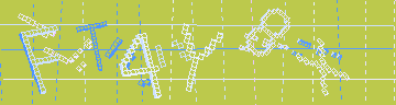 確認代碼