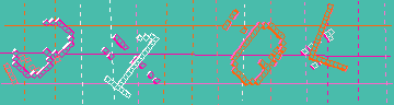 確認代碼