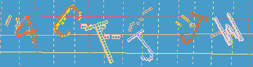 確認代碼
