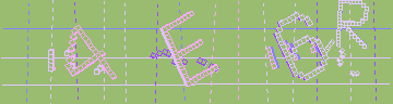 確認代碼