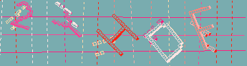 確認代碼