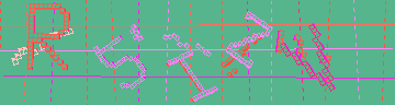 確認代碼