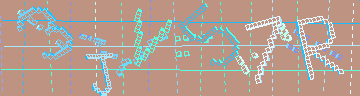 確認代碼