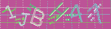 確認代碼