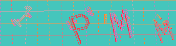 確認代碼