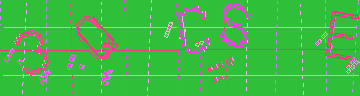 確認代碼