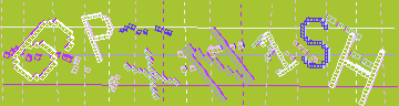 確認代碼