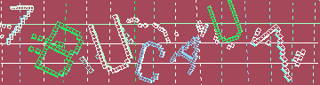 確認代碼
