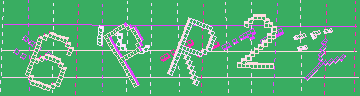 確認代碼