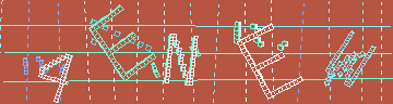 確認代碼