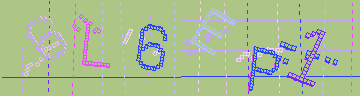 確認代碼