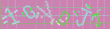 確認代碼