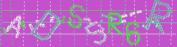 確認代碼