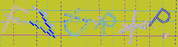 確認代碼