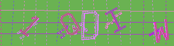 確認代碼
