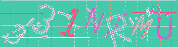 確認代碼