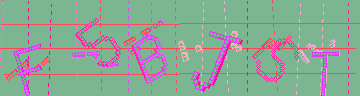 確認代碼