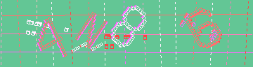 確認代碼