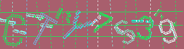 確認代碼
