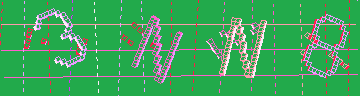確認代碼
