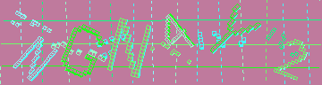 確認代碼