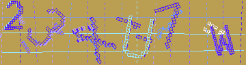 確認代碼