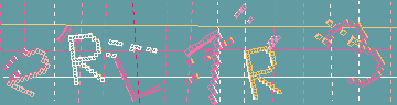 確認代碼