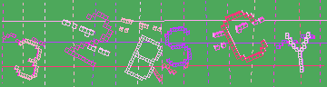 確認代碼