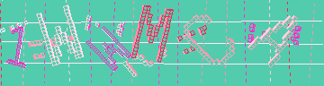 確認代碼