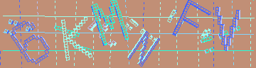 確認代碼