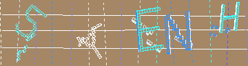 確認代碼