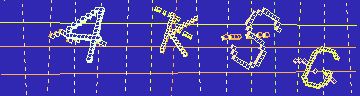 確認代碼