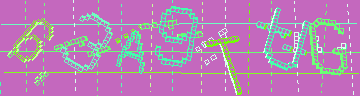 確認代碼