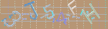 確認代碼
