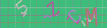 確認代碼