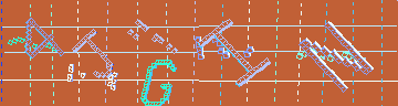 確認代碼