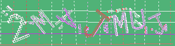確認代碼
