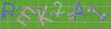 確認代碼