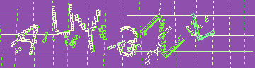 確認代碼