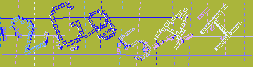 確認代碼