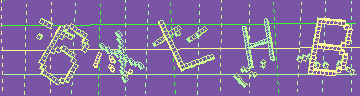 確認代碼