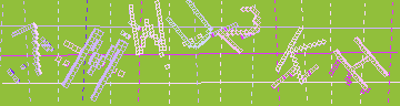 確認代碼