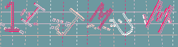 確認代碼