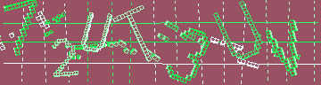 確認代碼
