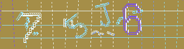確認代碼