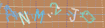 確認代碼