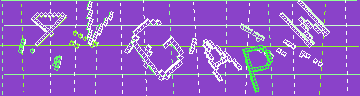 確認代碼