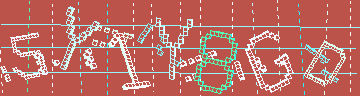 確認代碼